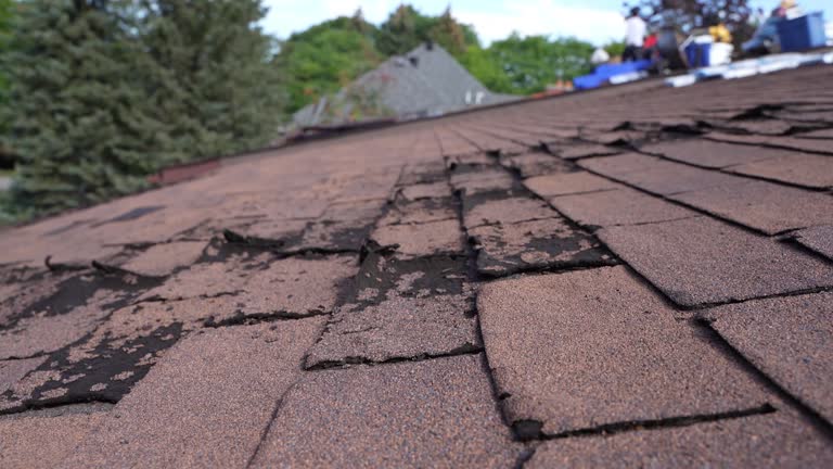 Best Rubber Roofing (EPDM, TPO)  in Richmond, IN